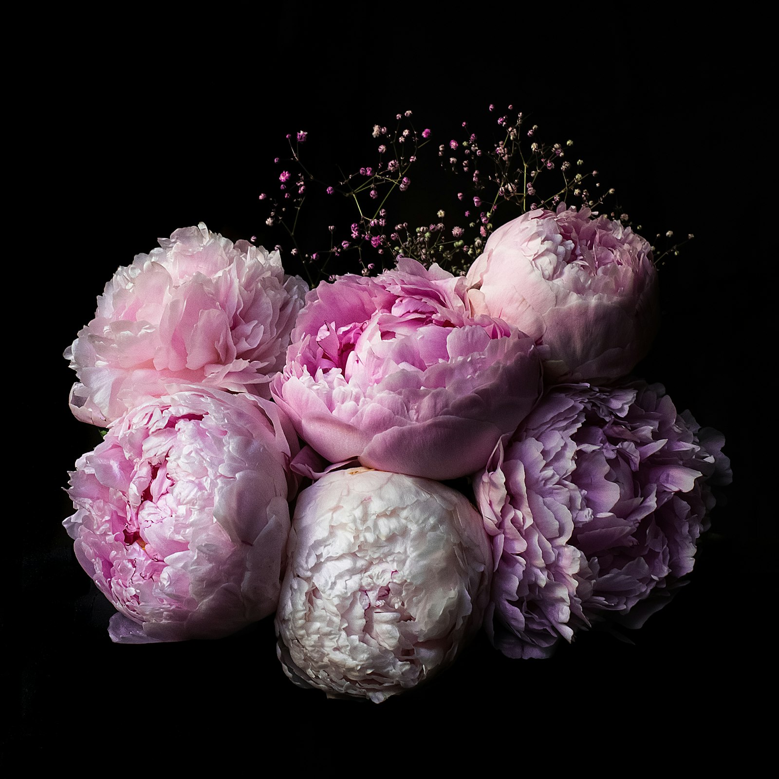Belle Époque